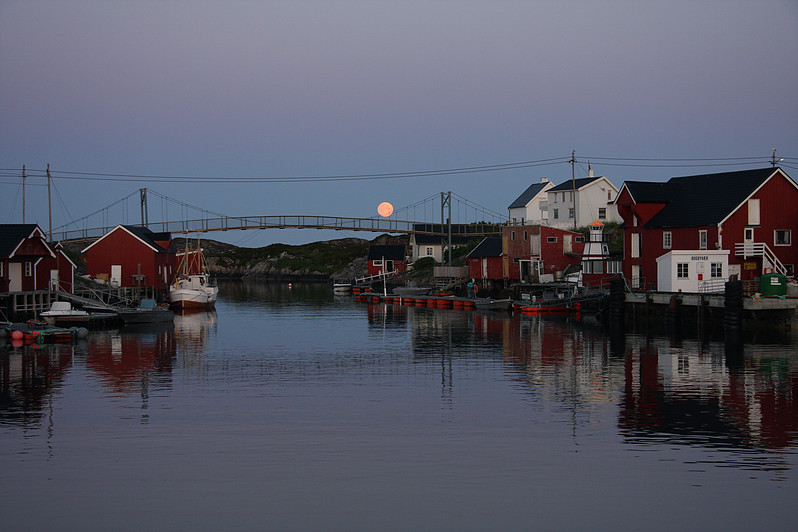 Bogøya – bilde 2
