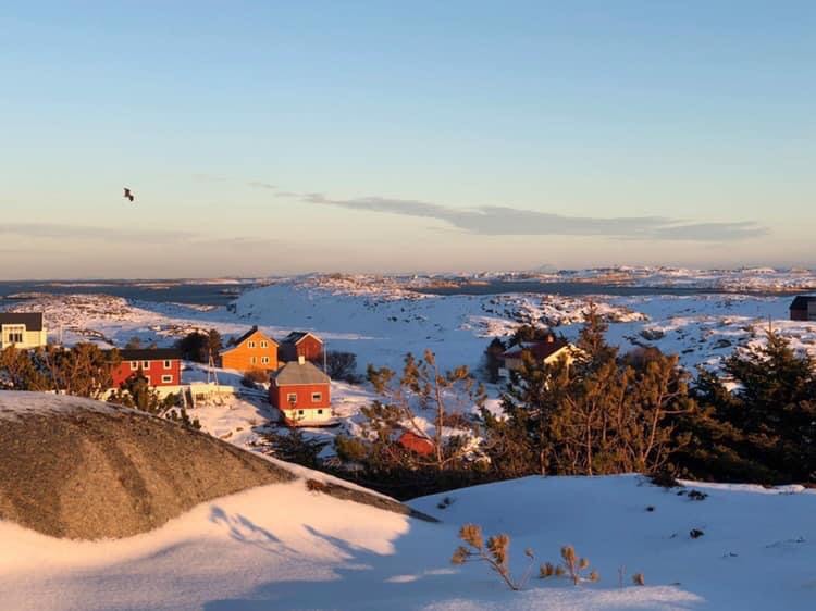 Vinter på Bogøya i Øyrekka, Trøndelagskysten